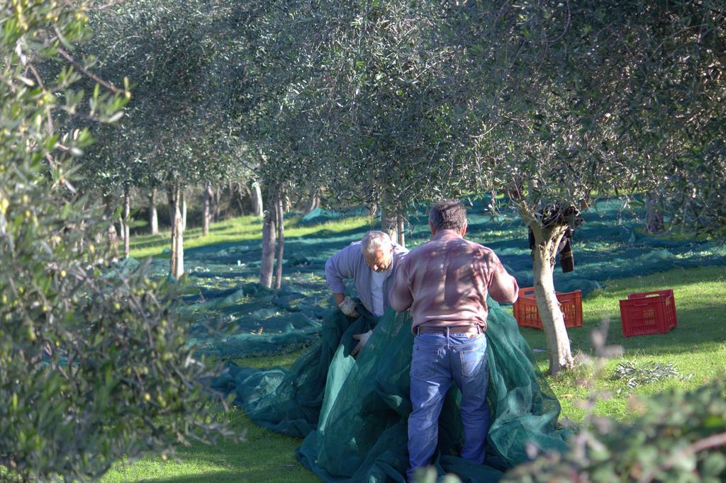 B&B Colle Perrini Country House Casperia Bagian luar foto
