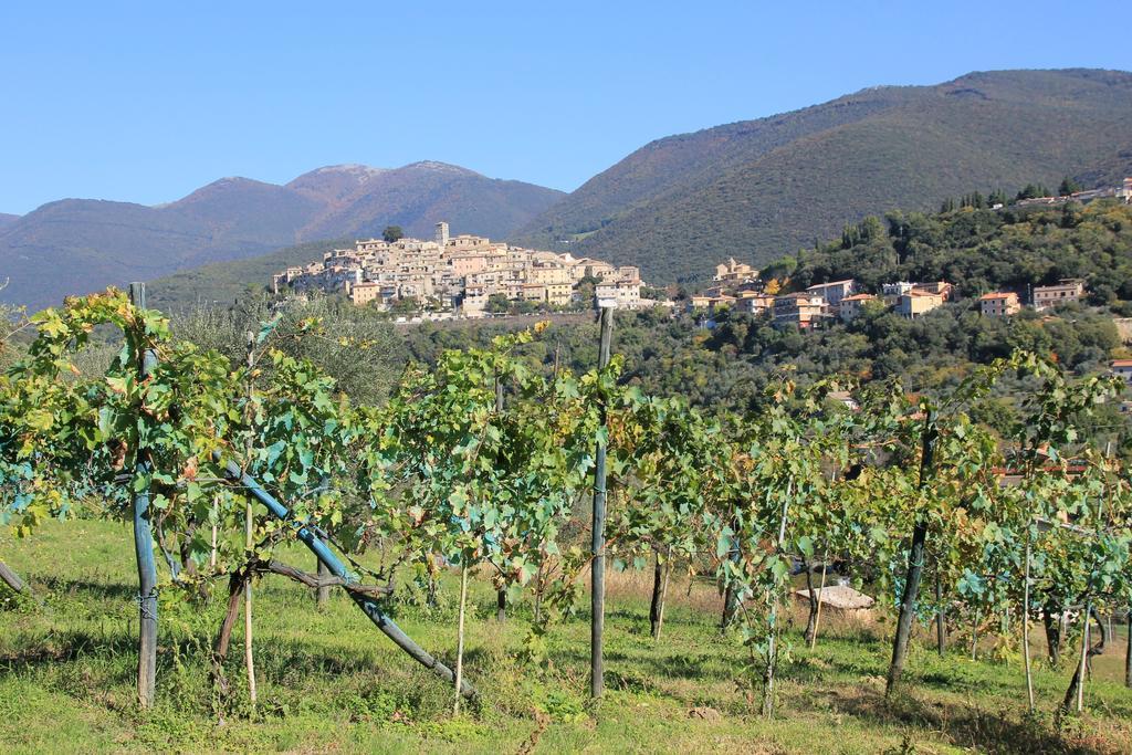 B&B Colle Perrini Country House Casperia Bagian luar foto
